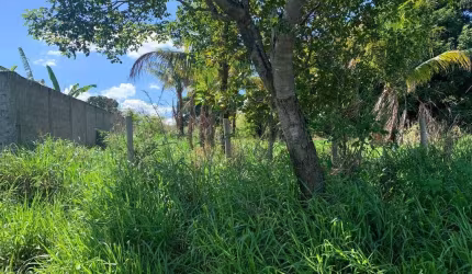 Lote / Terreno em Parque Hayala  -  Aparecida de Goiânia