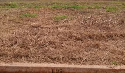 Terreno para Venda em Nova Odessa, Parque Fortaleza