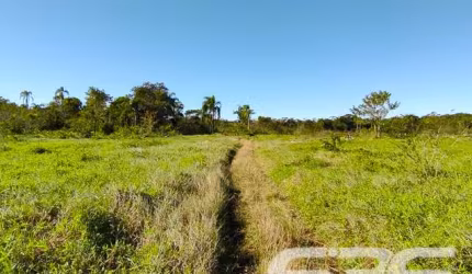 Terreno | Joinville | Vila Nova