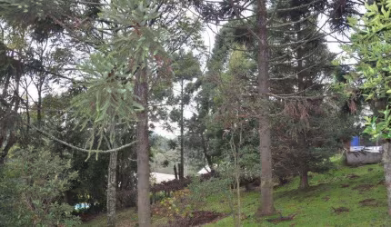 TERRENO no bairro VARZEA GRANDE em Gramado