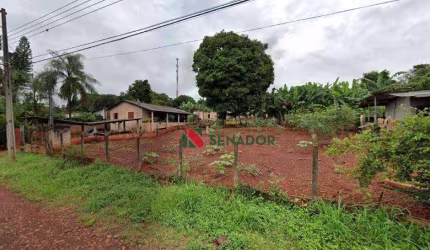 Chácara com 3 dormitórios à venda, 3000 m² por R$ 800.000,00 - Gleba Lindóia - Londrina/PR