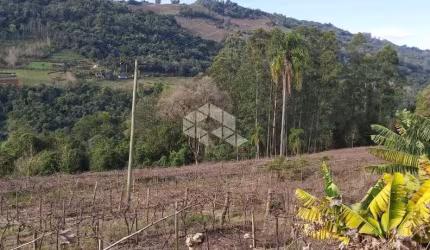 CHÁCARA, SÍTIO, PARREIRAS, LAGO E NATUREZA