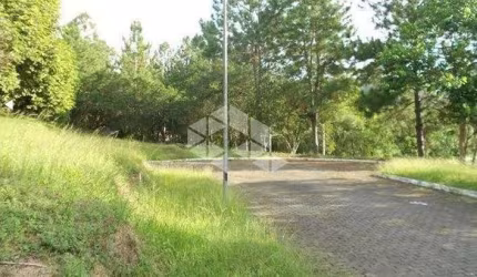 Terreno com 452,30m² A Venda - Ratones, Florianópolis SC.