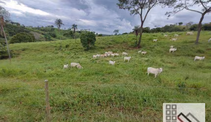 FAZENDA (220 alqueires). A 110 KM DE BRASÍLIA