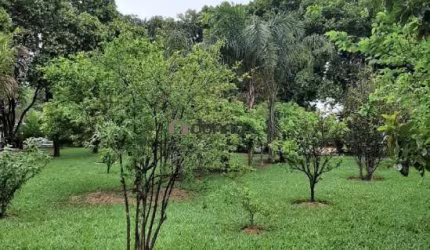 Chácara à venda para lazer ou investimento. Imóvel localizado perímetro urbano.
