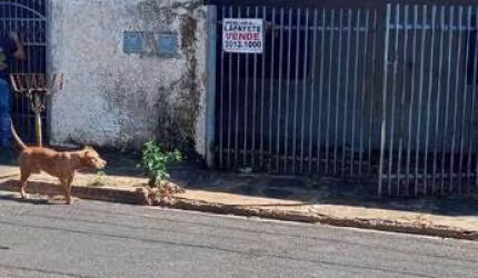 Casa com 2 dormitórios à venda por R$ 110.000,00 - Jardim das Oliveiras - São José do Rio Preto/SP
