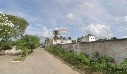 Alugo Terreno Com 9.000 m² na av.José jaime Coutinho Dias-bairro novo- Carpina-PE