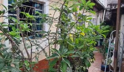 Terreno 10x30 m com casa no Bosque da Saude - Sao Paulo