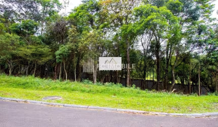 Terreno em condomínio fechado, à venda Orleans- Curitiba/PR