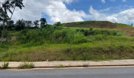 Terreno para Venda em Jaraguá do Sul, Rau