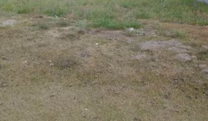 Terreno à venda, 250 m² por R$ 265.000 - Bairro dos Guedes - Tremembé/SP