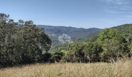 Sítio com 41.584,40 m² e Vista Panorâmica no Alto de Picada Café - Serra Gaúcha