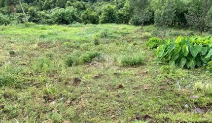 Chácara na Serra Gaúcha
