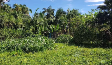 Terreno à venda, 3464 m² por R$ 2.100.000,00 - Centro (Pirabeiraba) - Joinville/SC