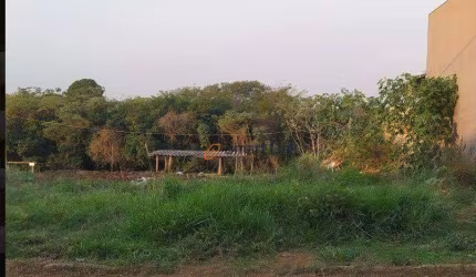Terreno à venda, 250 m² por R$ 45.000,00 - Centro - Terra Roxa/PR