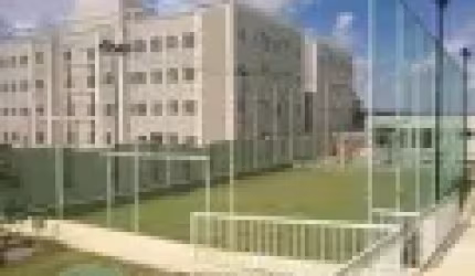 barcas oportunidade