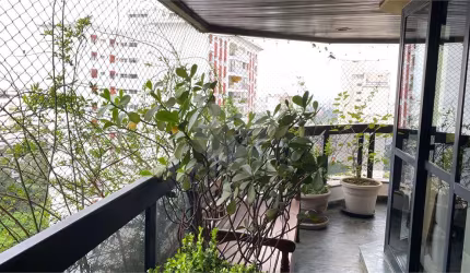 Apartamento com 3 quartos à venda em Vila Suzana - SP