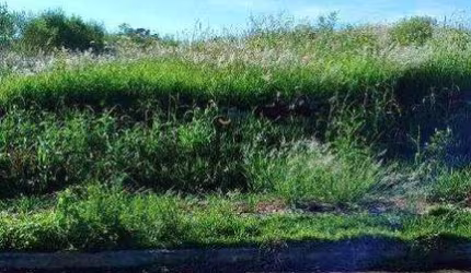 Lote Urbano para venda localizado no Efapi em chapecó / Sc