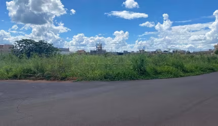 Terreno Padrão em Olímpia