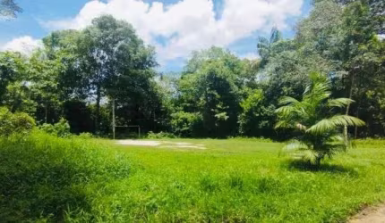 *Excelente terreno a poucos metros da BR