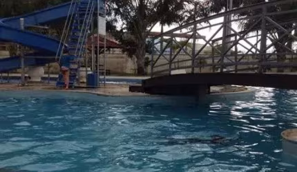Ng Imóvel para venda tem 450 metros quadrados em Parque Verde - Belém - PA