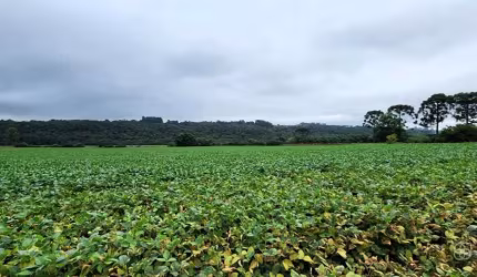 Área para venda Santa Tereza