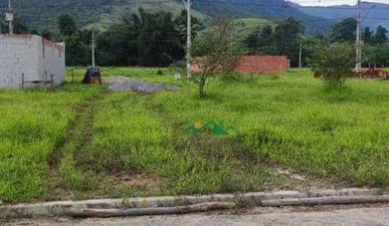Terreno à venda, 300 m² por R$ 120.000 - Pantanal - Paraty/RJ