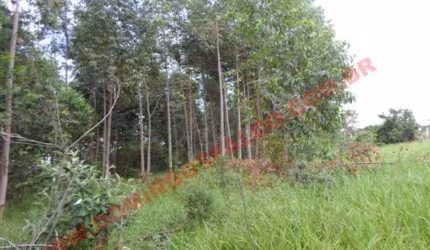 Venda JardimNovaLimeira Limeira/SP