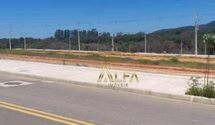 Terreno à venda, 300 m² por R$ 230.000 - Balneário Piçarras/SC