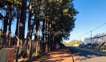 Casa com 6 quartos à venda na Rua Padre Domingos Giovanini, 480, Taquaral, Campinas, 586 m2 por R$ 8.500.000