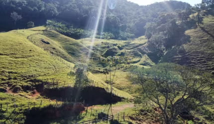 Sítio à venda de 117.000,00m² | Centro - São Francisco Xavier |