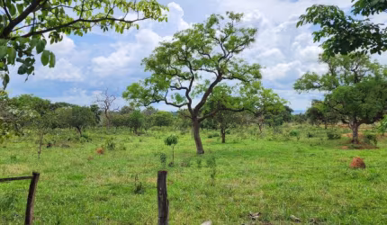 -Belíssima chácara, ampla, ótima qualidade de terra, localização privilegiada,  núcleo rural casa grande, ponte alta gama df, linda propriedade com excelente infraestrutura.
