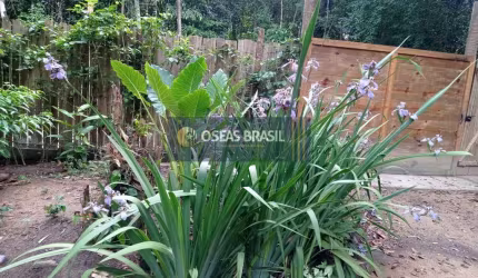 Casa em Trancoso  -  Porto Seguro