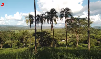 Chácara / sítio com 2 quartos à venda na Zona Rural, 200, Centro, Pirenópolis por R$ 380.000