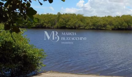 Excelente Sitio a venda c/acesso ao Rio Jacuipe c/pier - Barra de Jacuipe