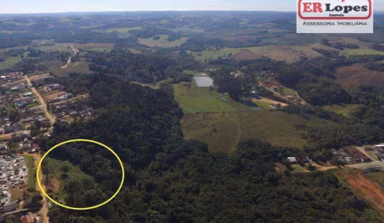 Área à venda, 35733 m² por R$ 790.000,00 - Centro - Quitandinha/PR