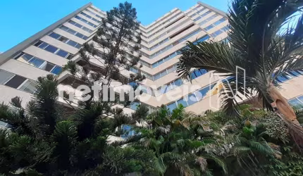 Venda Apartamento 3 quartos Pituba Salvador