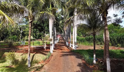 Chácara à venda, pronta para morar em, Jataizinho, PR