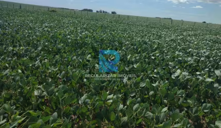 Fazenda com 401 hectares Cachoeira Do Sul-Rs