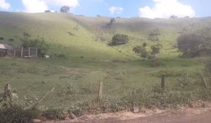 Sítio à Venda - Bairro Boa Vereda, Amparo - 0m2