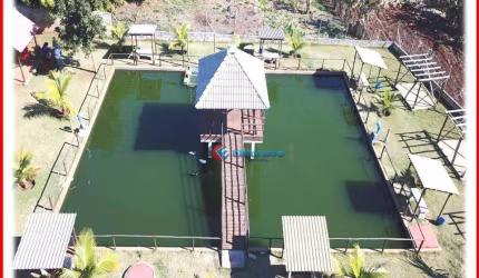 Chácara com 3 dormitórios à venda, 2000 m² por R$ 1.300.000,00 - Parque Orestes Ôngaro - Hortolândia/SP
