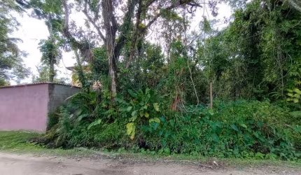 Terreno para Venda em São Sebastião, Boracéia