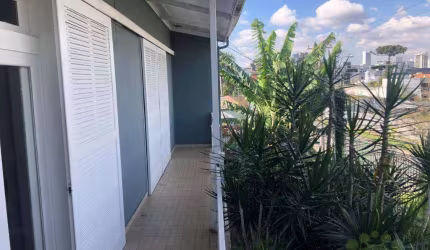 Terreno para alugar, 1539 m² por R$ 18.000,00/mês - Bigorrilho - Curitiba/PR