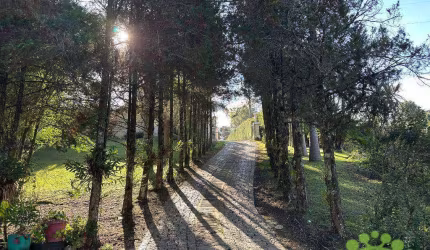 Chácara com 4 dormitórios à venda, 32000 m² por R$ 2.600.000,00 - Jardim Santa Nely - Campo Largo/PR