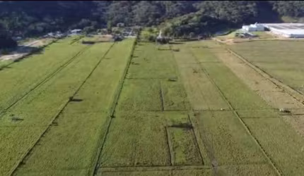 Terreno à venda, 66000 m² por R$ 6.500.000,00 - São Roque - Itajaí/SC
