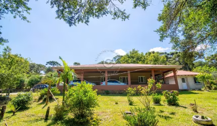 Chácara / sítio com 4 quartos à venda na Rua Emerson Greboge, 984, Colônia Murici, São José dos Pinhais, 240 m2 por R$ 1.490.000