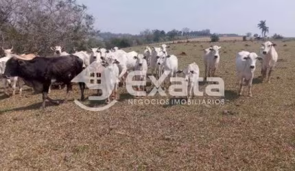 Sítio para venda em Itapetininga