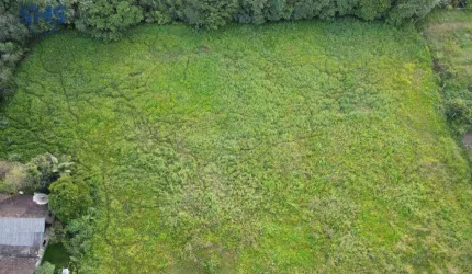 Terreno à venda, 11322 m² por R$ 5.798.000,00 - Itoupava Central - Blumenau/SC