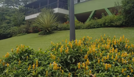 Belíssima Propriedade a venda no Samambaia!