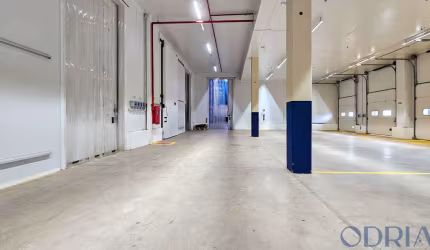 Aluguel - Locação - CÂMARAS FRIGORÍFICAS - OPERAÇÃO LOGÍSTICA - 842m² - BRASÍLIA - DF